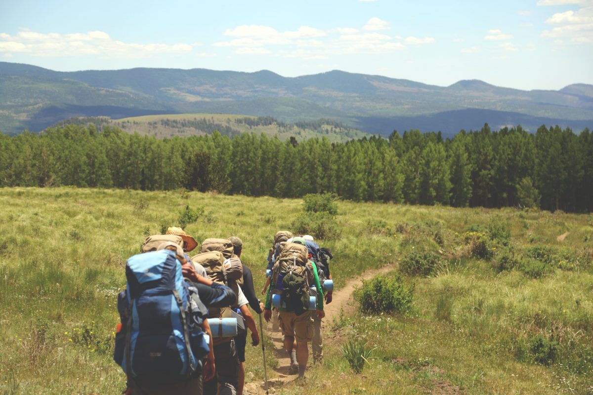 Jornada de Aventura en la Naturaleza: Valdebebas