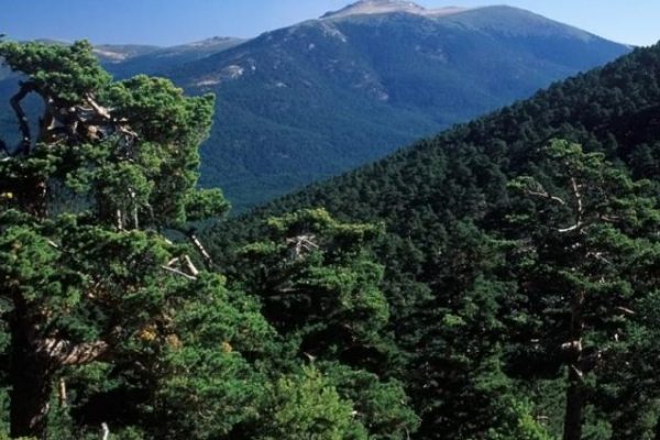 Día Sin Cole (13 Oct 23)