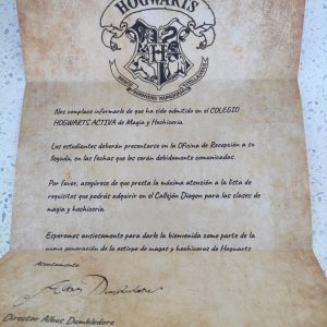 Campamento ACTIVA Burgohondo