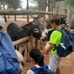 Campamento de Verano Multiaventura Madrid