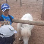 Campamento de Verano Multiaventura Madrid